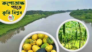 কপতক্ষ নদী পাড়ে কৃষি বিপ্লব ।  Vegetable farming