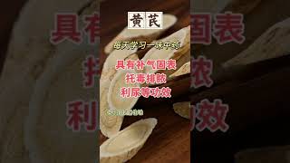 【黄芪】在药材里被誉为“补气之王”  #中药 #黄芪