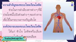 สรุปการทำงานอวัยวะในร่างกาย วิชาสุขศึกษา ชั้น ป.6