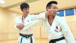Awesome Kata Bunkai by Naka Shihan from JKA!