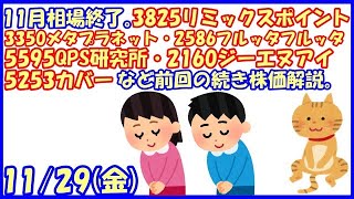 11月相場終了。3825リミックスポイント・3350メタプラネット・2586フルッタフルッタ・5595QPS研究所・2160ジーエヌアイ・5253カバーなど前回の続き株価解説。(2024/11/29)