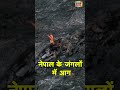 नेपाल के जंगलों में लगी भीषण आग nepal fire shorts