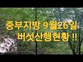 버섯산행을 다녀왔어요