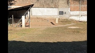 Khasi Hills Archery Sports Institute KHASI: 1st Round 3/01/2025