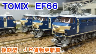 【Ｎゲージ】 TOMIX 7160 EF66形電気機関車(後期型・JR貨物新更新車)