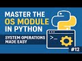 Master the OS Module in Python 🐍 System Operations Made Easy | Zero to Hero #12