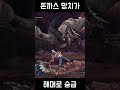 돈까스 망치가 해머로 승급하는 과정│when the hammer is the best shorts 【몬스터헌터 월드 아이스본│mhwi】