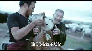 🎬『羊飼いと風船』冒頭映像