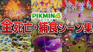 ピクミン全死亡・原生生物の捕食シーン集【ピクミン4】