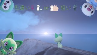 【ポケモンSV】　色違いニャオハ♀証狙い【296日目】