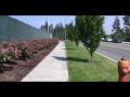 Landscape Water Conservation: Examples of Success