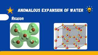 Anomalous expansion of water