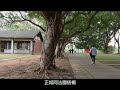 保存現代 東海大學校園與建築的探索 東海大學文理大道 無端點的軸線與紀念性