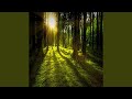 God of War (Acoustic Version)