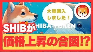 【クジラが大量購入！！】SHIBの価格上昇の可能性が！！仮想通貨バブルに向けての備えを！【仮想通貨】【BTC】【ビットコイン】【SHIB】【柴犬】【DOGE】【ドージ】【ETF】【クジラ】