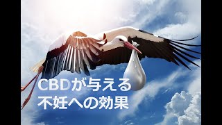 CBDが与える不妊への効果