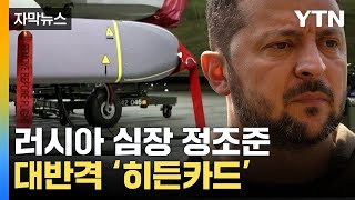 [자막뉴스] "우크라, 실전 투입"...비장의 무기로 러 정조준 / YTN