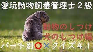 愛玩動物飼養管理士２級〇×クイズ”第Ⅷ編：動物のしつけ_犬のしつけ編”