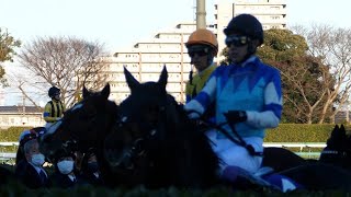 【有馬記念 2022】武豊アリストテレスは14着、エフフォーリア横山武史は5着