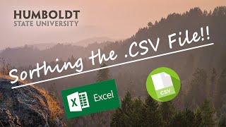 Sorting the .CSV File