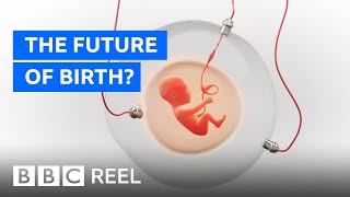 What if women never had to give birth again? - BBC REEL
