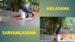 SARVANGASANA \u0026 HALASANA