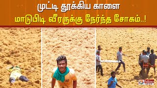 முட்டி தூக்கிய காளை மாடுபிடி வீரருக்கு நேர்ந்த சோகம்..!