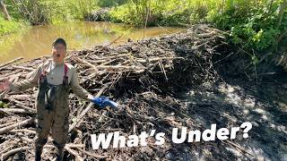I Finally Opened This Massive Beaver Dam!