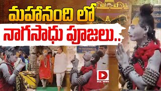 మహానంది లో నాగసాధు పూజలు...|| Aghori Naga Sadhu at Mahanandi Temple || Dial News