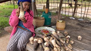 เลือกเอาแต่หน่อใหญ่ หาหน่อไม้ ต้มไปฝากพี่ชาย  /  ຫາຫນໍ່ໄມ້ແຄມຫ້ວຍເອົາແຕ່ຫນໍ່ໃຫຍ່ໆ