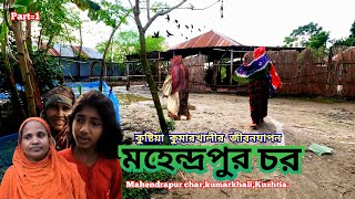 মহেন্দ্রপুর চর মানুষের বেঁচে থাকার সংগ্রামী জীবন || কুমারখালি || কুষ্টিয়া || Basic Salam.