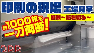 【工場見学】紙束が一刀両断！？職人の技と専門機〜断裁〜