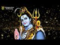 Ambalamillathe Aaltharayil Vaazhum....KJ Yesudas - Devotional Songs - Mahagurudeva Kavilamma