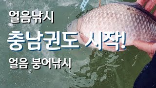 붕어낚시, 충남권에서도 얼음낚시 시작!  Ice hole float fishing for crucian carp in South Korea