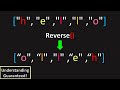 Can You Reverse a String? (LeetCode 344: Reverse String)