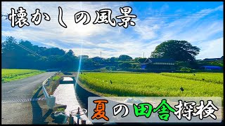 夕暮れ時の夏の田舎　平野部の田舎を探検【田舎風景・田舎探検】