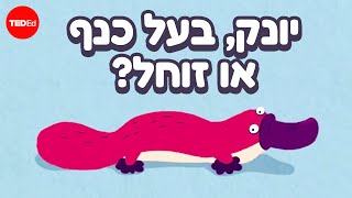 שנה בחייו של אחד מבעלי החיים המוזרים ביותר בכדור הארץ - גלעד בינו