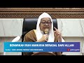 benarkah ruh manusia berasal dari allah syekh akbar m. fathurahman kajian tasawuf