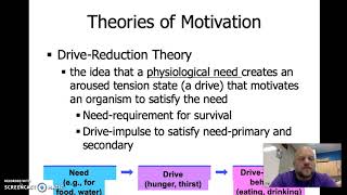 Module 37 Notes