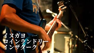 イヌガヨ『コインランドリーインザダーク』LIVE