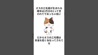 招き猫の性別に関する面白い雑学#shorts #雑学 #諸説あり