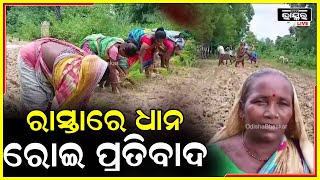 ଅଭିନବ ଉପାୟରେ ରାସ୍ତାରେ ଧାନ ଗଛ ରୋଇ ପ୍ରତିବାଦ କଲେ ଗ୍ରାମବାସୀ