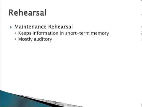 What type of rehearsal is used in long term memory?