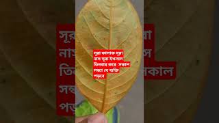 সূরা ফালাক সূরা নাস সূরা ইখলাস সকাল সন্ধ্যা  যে ব্যক্তি তিনবার তিনবার করে পড়বে হঠাৎ বিপদ মুক্তিপাবে