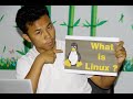 what is linux operating system? | Linux ဆိုတာ ဘာလဲ?