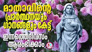 kripasanam mother mary daily prayer and songs for January 24th, 2024 #kreupasanam prayer malayalam