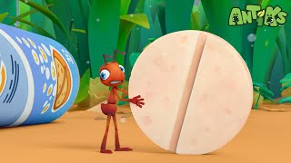 There She Blows 💊💊 | ANTIKS | Moonbug Kids - Funny Cartoons and Animation
