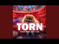 Torn (Techno Version)