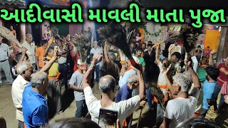 Adivasi Mavli Mata Puja in My Village | Dharampur | માવલી માતા પુજા 🙏