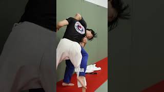 Gi vs No Gi Judo - Part 3